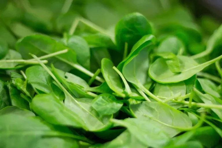 Fresh spinach leaves, a magnesium-rich leafy green