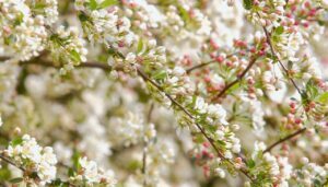 Why Allergies Make Your Pain and Sleep Worse — And What to Do About It